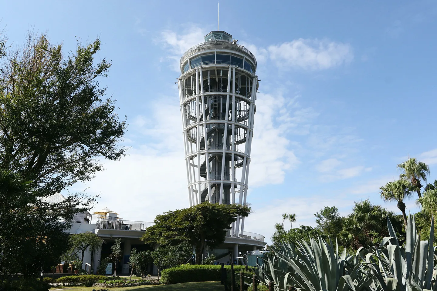Enoshima Sea Candle — photo 1 of 6