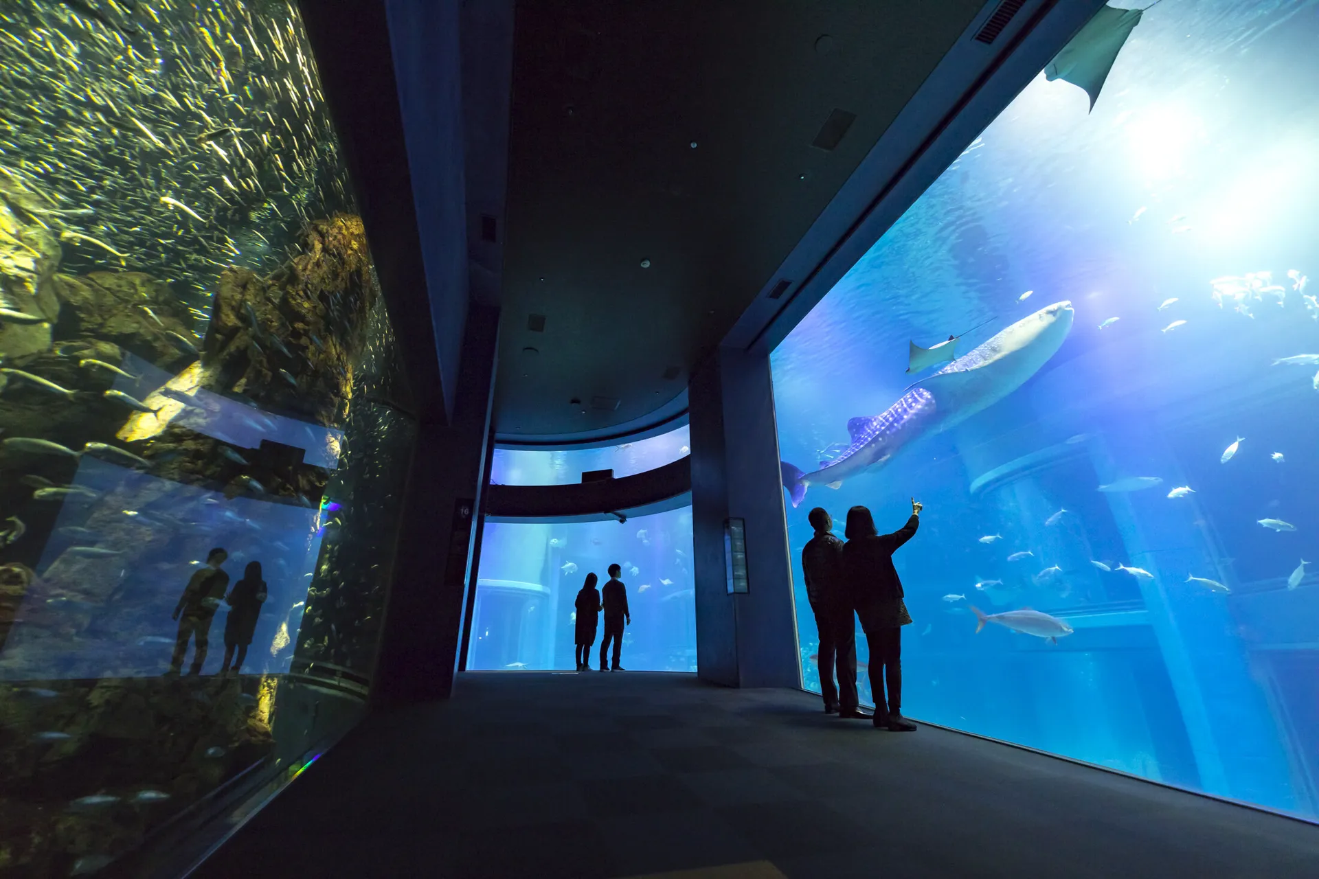 海遊館 — photo 1 of 6
