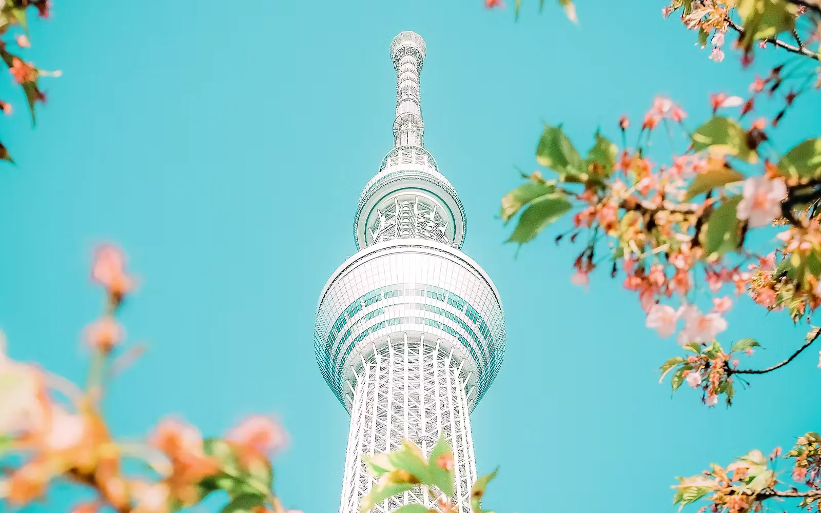 Tokyo Skytree — photo 1 of 7